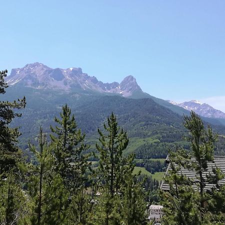 App Vue Montagne Barcelonnette Proche Piscine Rando Riviere Nature Buitenkant foto