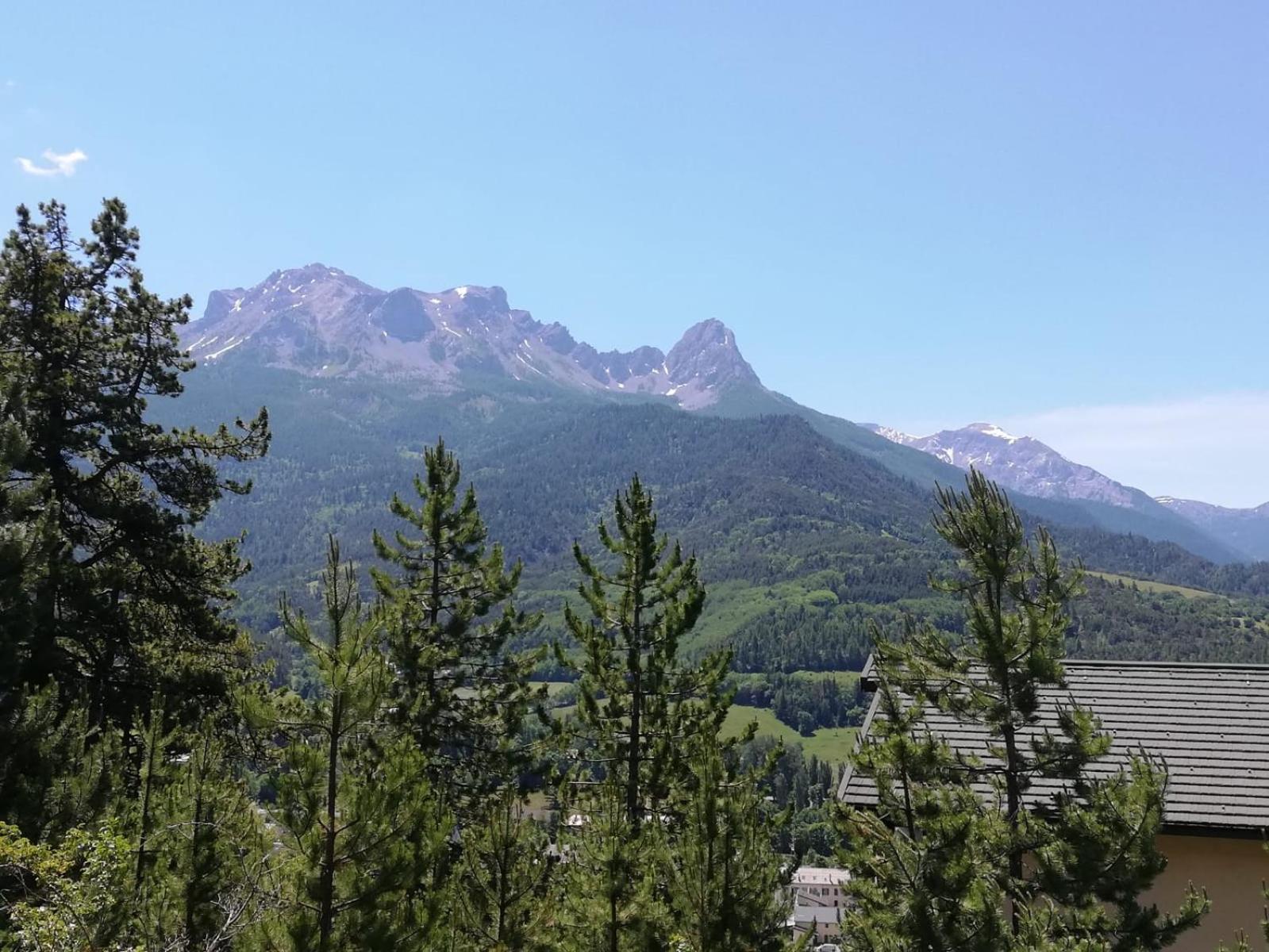 App Vue Montagne Barcelonnette Proche Piscine Rando Riviere Nature Buitenkant foto